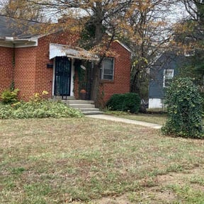 Leaf Removal by Phillips Lawn Care reviewed on November 23, 2025