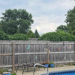 Bush Trimming by Hernandez Landscaping reviewed on July 30, 2026