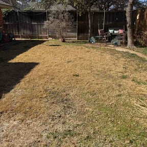 Leaf Removal by Kenny faison lawn care reviewed on August 25, 2026