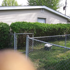 Bush Trimming by A+ Student Lawn Care reviewed on August 15, 2025