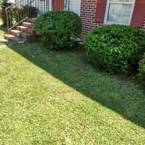 Bush Trimming by Frederickson Lawn Management reviewed on August 21, 2025