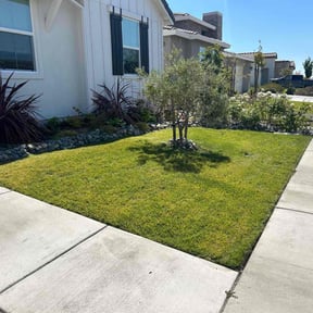 yard care by All&1 landscaping reviewed on August 16, 2025
