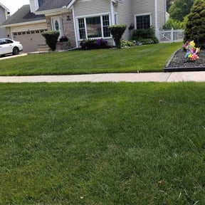 residential landscaping by Lawnscape pros reviewed on August 17, 2025