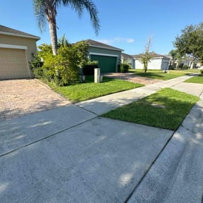 landscaping by Marroquín Landscaping LLC reviewed on December 6, 2025