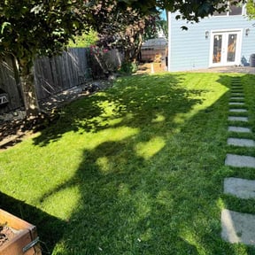 yard service by Perennial Specialty Gardens reviewed on May 4, 2025