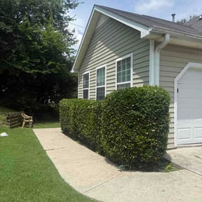 Bush Trimming by J's Trusty Turf reviewed on June 29, 2026