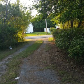 Bush Trimming by Downey Lawn and Snow reviewed on April 27, 2023