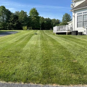 yard maintenance by UNCLECURTS LLC reviewed on August 21, 2025