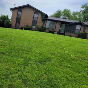 Bush Trimming by The Lawn Cypress reviewed on August 15, 2025