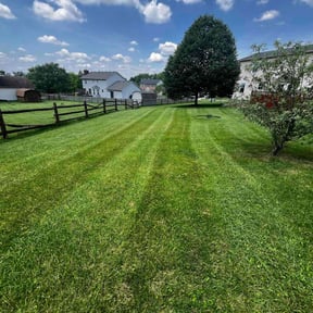 yard service by Robinson lawn care reviewed on November 22, 2025