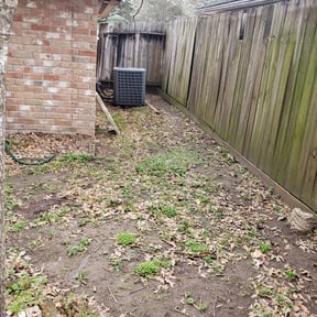 Leaf Removal by Rjm reviewed on September 18, 2025