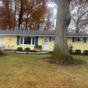 Leaf Removal by N.A.L Landscaping and Services LLC reviewed on November 18, 2025