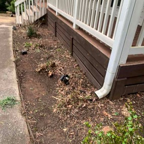 Flower Bed Weeding by Frank's lawncare reviewed on August 19, 2026