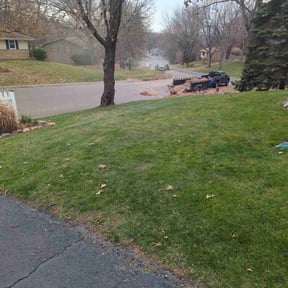 Leaf Removal by Clean Green Lawnscapes reviewed on November 18, 2025