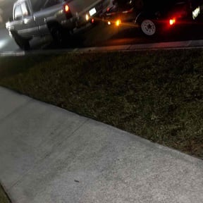 Leaf Removal by Sifu Lawn and Services reviewed on August 15, 2025