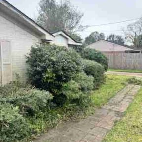 Bush Trimming by Willie Lawn Care and More LLC reviewed on December 10, 2025