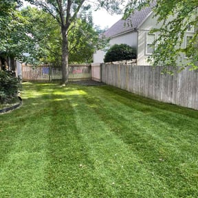 yard care by Groves Lawn Care reviewed on November 24, 2025