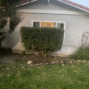 Bush Trimming by Slick Lawns reviewed on October 19, 2025