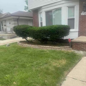 Bush Trimming by Joe's Way Lawn Care &amp; Landscape reviewed on June 17, 2026