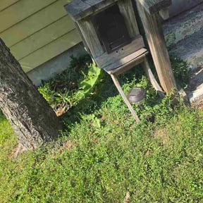 Flower Bed Weeding by L&amp;C LANDSCAPING SERVICES reviewed on July 9, 2026