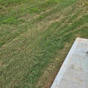 Bush Trimming by D&amp;k Taylor lawn care reviewed on November 5, 2025