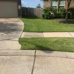 landscape maintenance by Alonso Landscape & Trim reviewed on August 13, 2025
