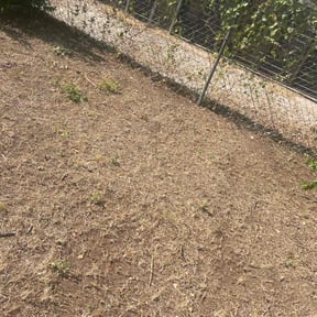 Leaf Removal by AJG Renovation &amp; Landscaping reviewed on September 6, 2025