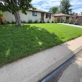lawn maintenance by Essential Landscaping reviewed on August 18, 2025