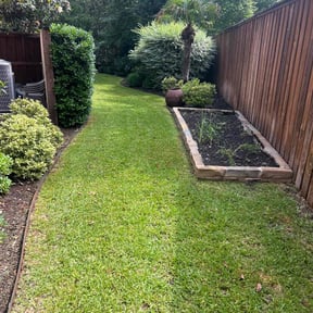 lawn maintenance by Juan Rodriguez reviewed on July 2, 2025