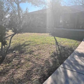 Leaf Removal by Leonardo castro reviewed on March 29, 2026