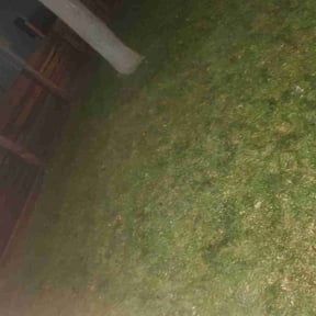 Leaf Removal by Mower man reviewed on May 27, 2025