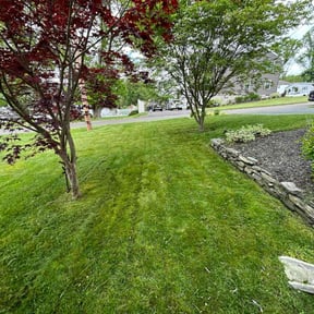 yard care by JT Services reviewed on December 6, 2025