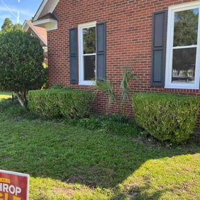 Bush Trimming by UnlimitedGroundCare. reviewed on September 25, 2023