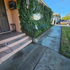 Bush Trimming by L&amp;D Lawn Care Inc. reviewed on October 9, 2023