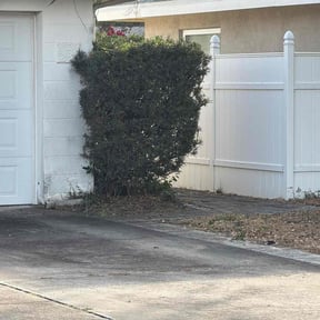 turf maintenance by Ortiz Landscaping reviewed on March 31, 2024