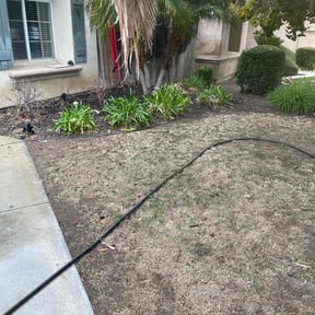 Bush Trimming by Ron's lawn care reviewed on August 17, 2025