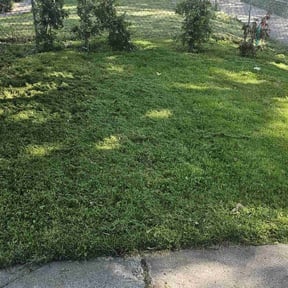 turf maintenance by Tim King reviewed on February 3, 2020