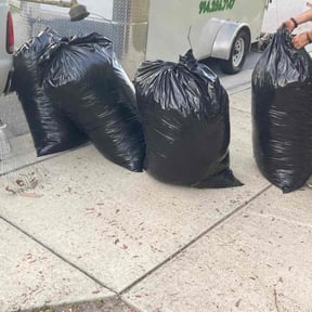 Leaf Removal by Dallas Lawn Stars reviewed on September 30, 2025