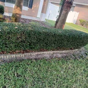 Bush Trimming by Extra Mile Lawn Care and Junk Removal reviewed on August 1, 2026