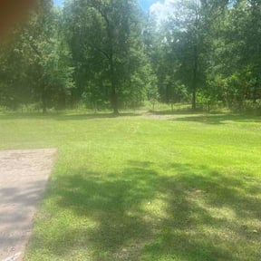 Leaf Removal by Titan Apex, LLC reviewed on June 16, 2026