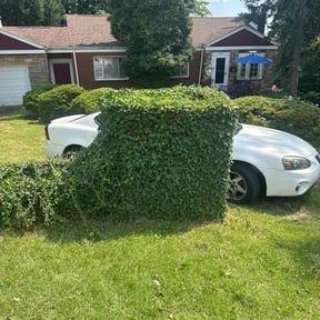 Bush Trimming by Veterans lawn services reviewed on December 11, 2025