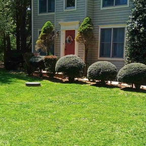 grass cutting by JNGLandscaping LLC reviewed on May 16, 2025
