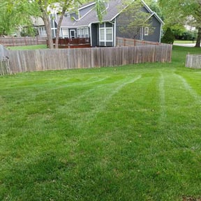 turf care by WLQ Solutions reviewed on August 17, 2025