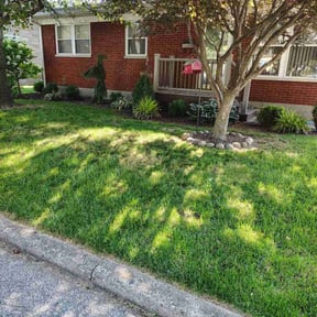 turf maintenance by 3GUYSLAWNCARE reviewed on August 18, 2025