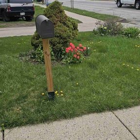 yard service by Family affair reviewed on August 15, 2025