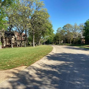 yard care by Medellin Landscaping reviewed on August 30, 2024