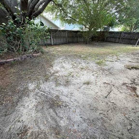 Leaf Removal by Haywood Property Solutions reviewed on July 2, 2026