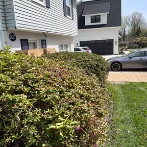 Bush Trimming by SANTOS LAWN SERVICE  reviewed on August 18, 2025