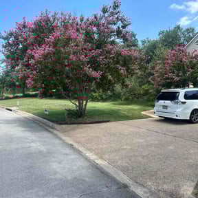 residential landscaping by Perry’s Landscaping LLC reviewed on August 15, 2025