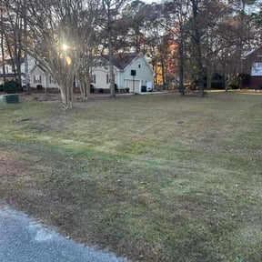 Leaf Removal by Manny Soriano reviewed on November 26, 2025